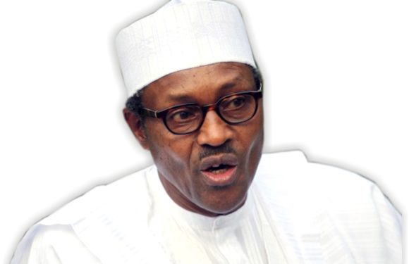 THIEVES IN POWER: PRESIDENT BUHARI SUSPENDS SGF AND DG, NIA