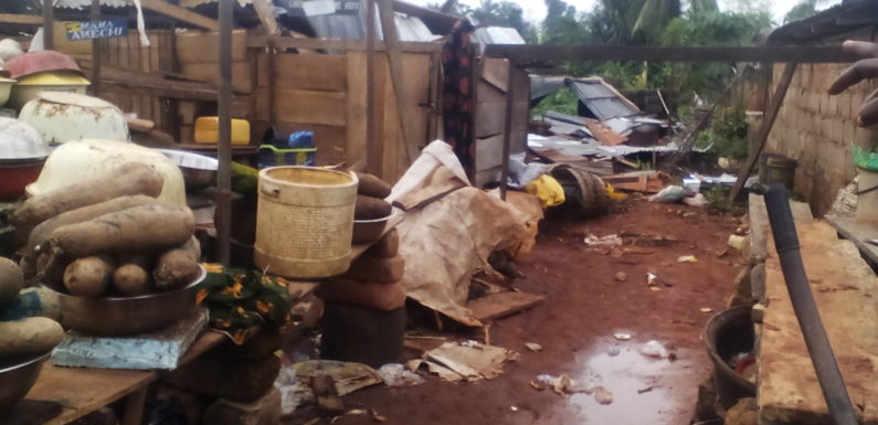 Breaking News: Rains, Windstorm Devastate Alifekede Community In Delta —Indegenes Cry Out To FG For Urgent Assistance