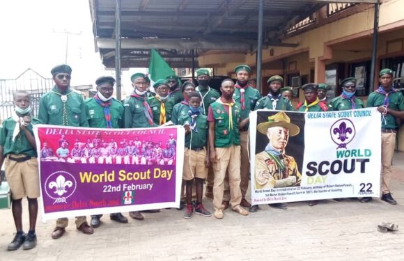 World Scout Day: Plans To Re-intergrate Movement In Delta Schools-Scout Co-ordinator