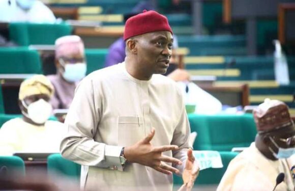 House of Reps Resolves To Investigate Alleged Fraud, Illegalities At FERMA, As Elumelu Moves Motion