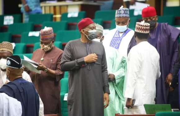 Eid-el-Fitr: Reps Minority Caucus Congratulates Nigerians, Urges Peaceful Co-Existence