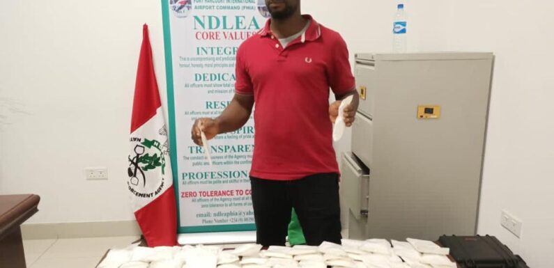 Over N5 billion drugs seized by NDLEA, NCS at Lagos Airport, Abuja, Edo