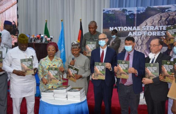 FG Promulgates National Strategy to Combat Wildlife and Forest Crime