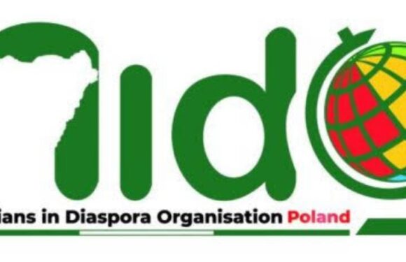 Deborah: Nigerians in Diaspora Describe Killing, Subsequent Protest Destructive to FDI Drive