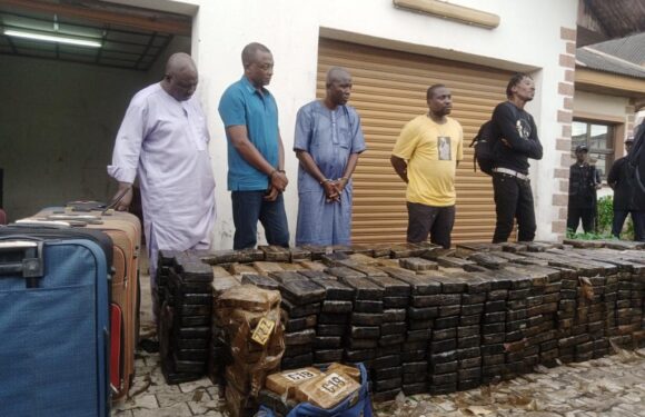 NDLEA seizes N194 bn worth cocaine in largest single bust  …Arrests 4 drug barons, another