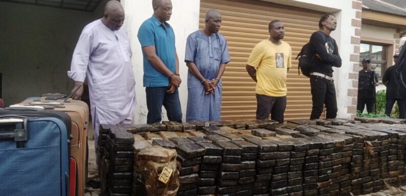 NDLEA seizes N194 bn worth cocaine in largest single bust  …Arrests 4 drug barons, another