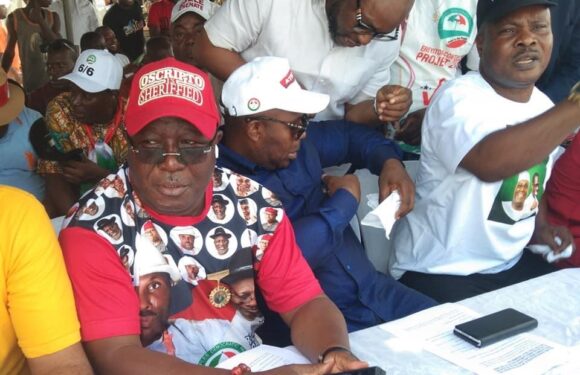 PDP Leader, Bashorun Askia Hails Turnouts In Delta Campaigns