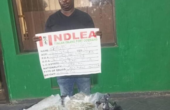 NDLEA intercepts drug consignments in wooden statue, imported vehicle<br>. Seizes 3,975kgs skunk, 58,200 tramadol pills in cross country interdictions