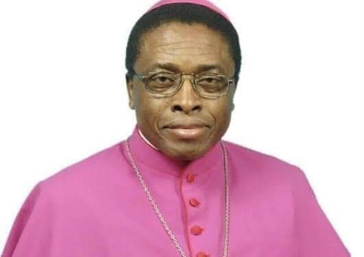<strong>Pope Creates Aguleri Diocese, Appoints Bishop From Mrs. Obiano’s Hometown</strong>