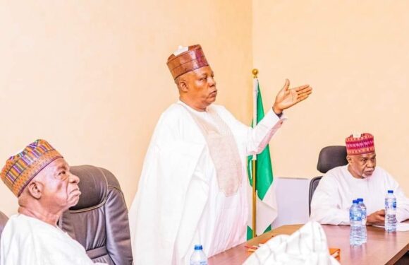 Expectations On Us By Nigerians Very High – Shettima