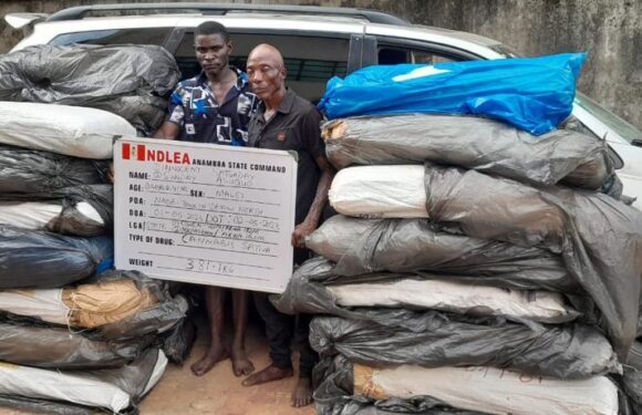 NDLEA seizes 8,852 kgs illicit drugs consignment after half hour gun duel in Lagos