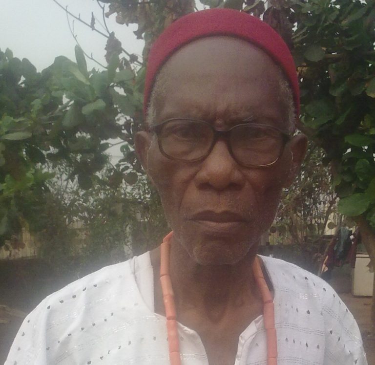 FLAG REVOLUTION –By Prof. Nwoko (OON)