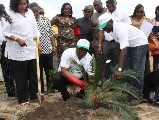 “Mandela Garden Of 95 Trees” Opens In Asaba, Delta