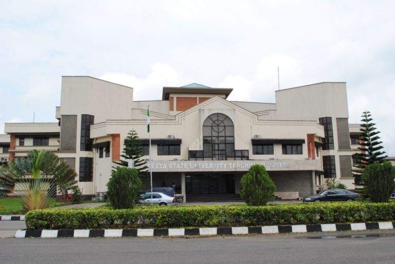 Delta State To Become Nigeria’s Medical Tourism Destination – Ogeah