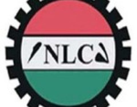 Delta NLC Boss Sues For Peace, Unity Within Congress