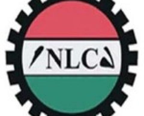 Delta NLC Boss Sues For Peace, Unity Within Congress