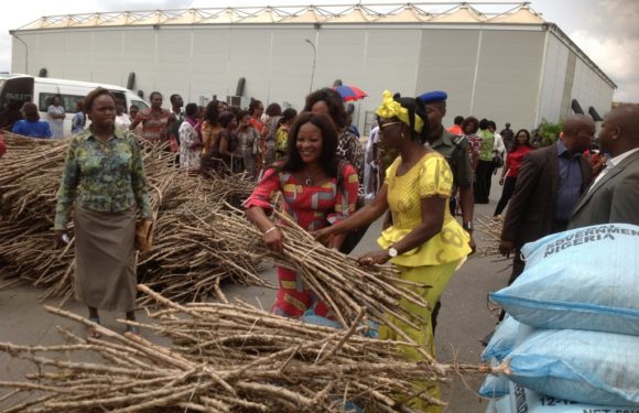 Delta: Deaconess Uduaghan Flags-Off Distribution Of Farm Inputs To Rural Women