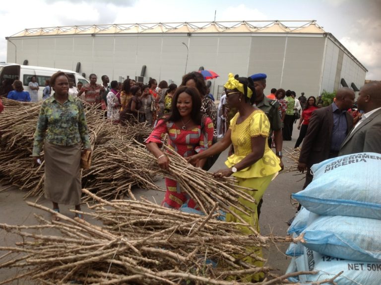 Delta: Deaconess Uduaghan Flags-Off Distribution Of Farm Inputs To Rural Women