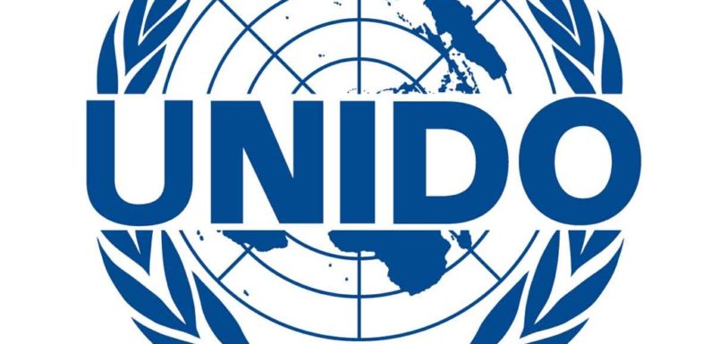 Delta Partners UNIDO To Grow Agribiz, Others