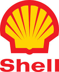TNPL: Group Wants Alison-Madueke To Halt Shell's Planned Cancellation Of Niger Delta Projects