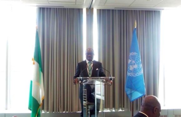 "Crude Oil Theft, Threat To International Peace" -Says Uduaghan @ UN Assembly