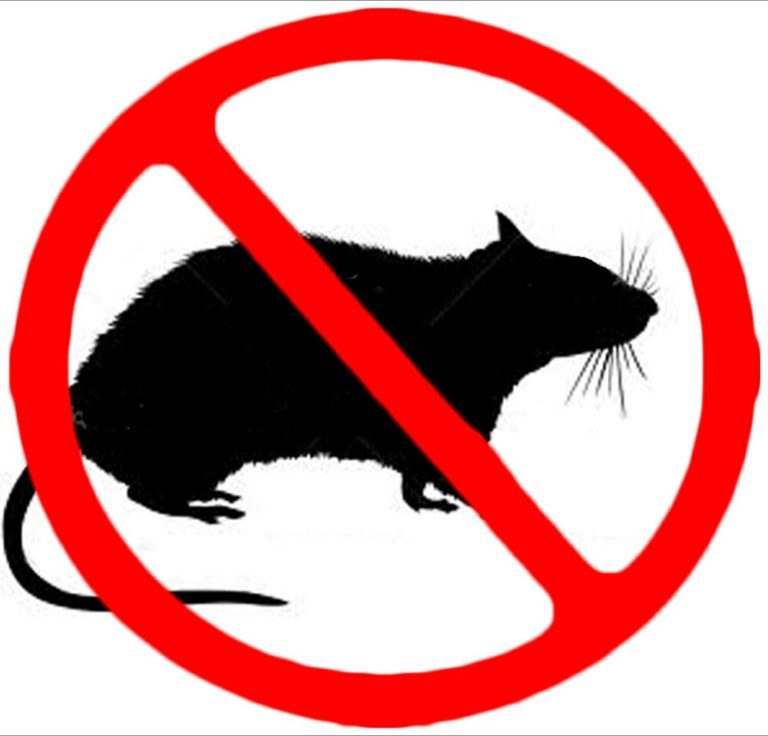 FIRST LASSA FEVER CASE CONFIRMED IN DELTA STATE