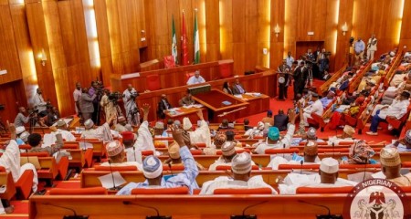 State Police: Senate Plots To Move Policing From Exclusive To Concurrent List ***Governors To Establish, Manage Police Force In States