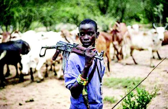 National Security: Ukah Urges FG To Tackle Criminal Activities Of Fulani Herdsmen
