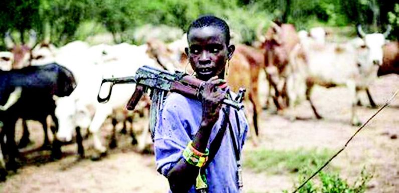 National Security: Ukah Urges FG To Tackle Criminal Activities Of Fulani Herdsmen