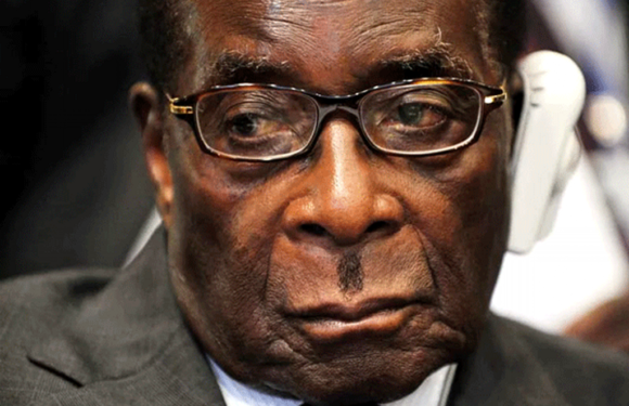 Zimbabwe: Low-Key Coup Halts World's Oldest President *First lady Grace Mugabe Flees To Namibia  *93 Yr Old Robert Mugabe Under House Arrest *Buhari warns against unnecessary conflict
