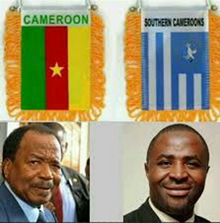 Release Detained Cameroonian Freedom Fighters Now –CDHR Tells Buhari