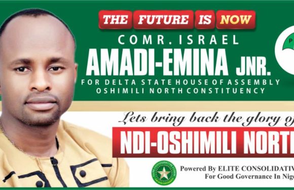 PDP Delta Assembly Hopeful Comrade Israel Amadi-Emina Jnr …Young, Vibrant, Astute Politician