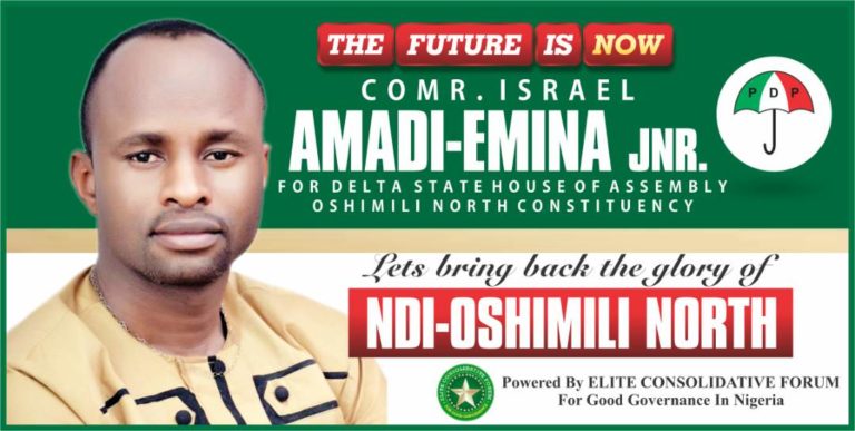 PDP Delta Assembly Hopeful Comrade Israel Amadi-Emina Jnr …Young, Vibrant, Astute Politician