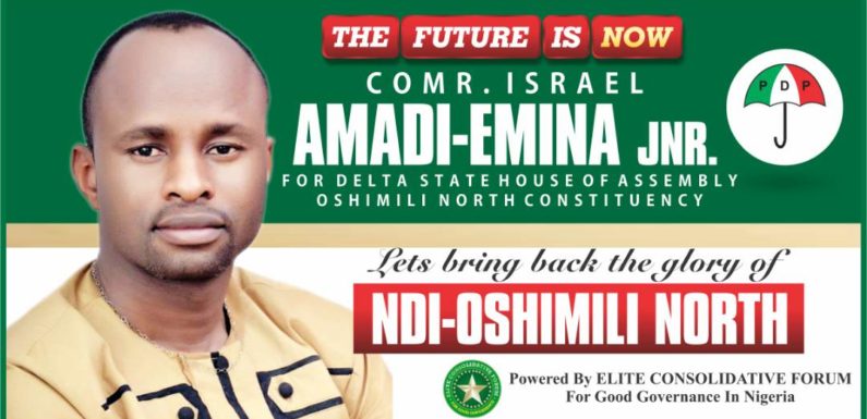 PDP Delta Assembly Hopeful Comrade Israel Amadi-Emina Jnr …Young, Vibrant, Astute Politician