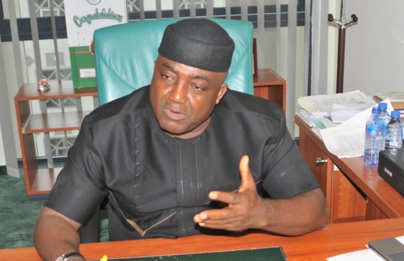 Leo Ogor Defeats Joel Onowakpor For Isoko Rep Seat … As Manager Wins Delta South Senate 5th Term