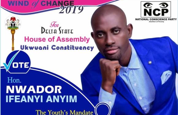 NCP Delta Assembly Candidate, Ifeanyi Nwador Unveils Plans To Transform Ukwuani LGA