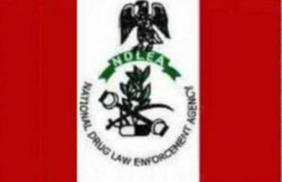 U.S. supports NDLEA with forensic, intelligence, prosecution tools