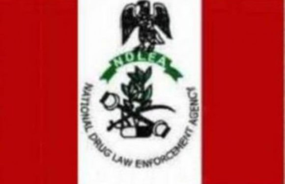 NDLEA Foil Attempt To Sneak Drugs Into Belgium, Turkey