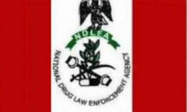 NDLEA intercepts 2,060kg Heroin, Others At Lagos Airport, Ondo, Edo, Kano