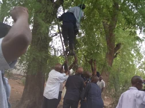 Gov. Shettima Reacts To Personal Steward’s Suicide –As Police Plans To Conduct Autopsy, Question Family, Friends