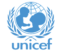 Northeast crisis: UNICEF condemns use of children as human bombs