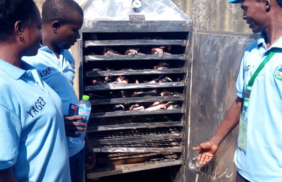 Job Creation: Delta Govt Trains, Sets Up 12 Youths in Fish Processing