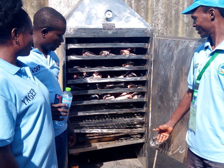 Job Creation: Delta Govt Trains, Sets Up 12 Youths in Fish Processing
