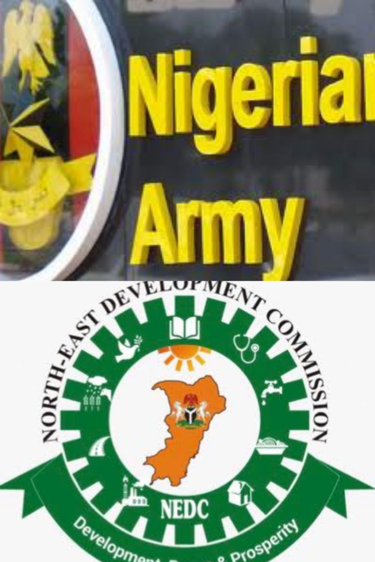 NORTH EAST DEVT COMMISSION TO PARTNER NIG ARMY TO REPAIR DESTROYED FACILITIES IN THE NORTH-EAST