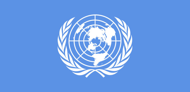 UN Condemns Boko Haram Attack On Parts Of Borno