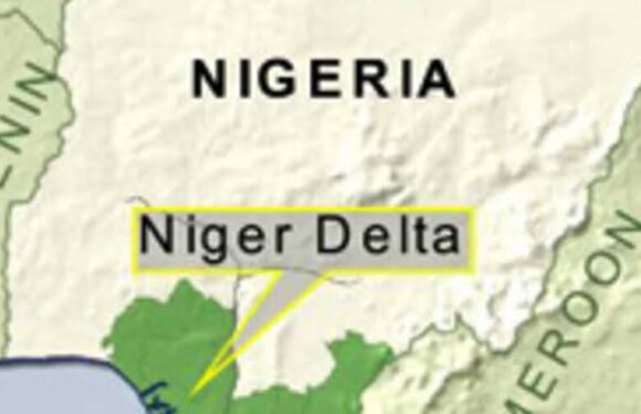 OUR NIGER DELTA AND THE STORY OF MAGGOTS