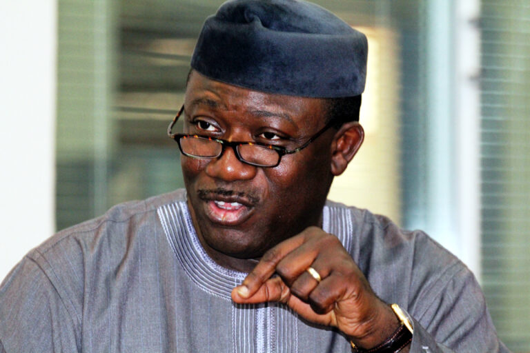 KAYODE FAYEMI: THE NEW STORMY PETREL