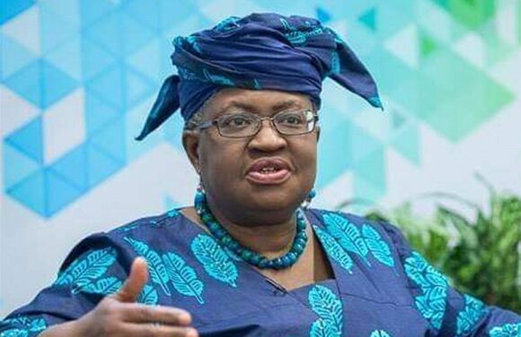 Okonjo-Iweala Will Steer Global Trade On Path Of Fairness, Equity – Askia