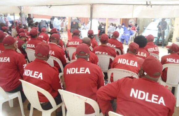 Two Months Cocaine, Heroin Seizures In 2021 Exceeds 2019 At MMIA -NDLEA Boss