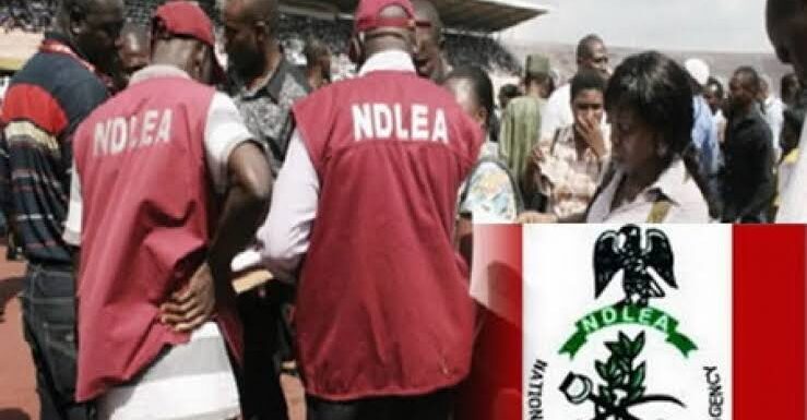 Marwa Warns NDLEA Officers Against Hostage Arrest, Illegal Detention